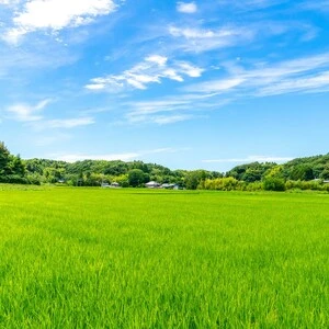 AdobeStock_283291658 (1) (1)