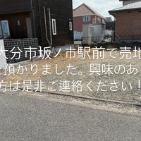 画像241