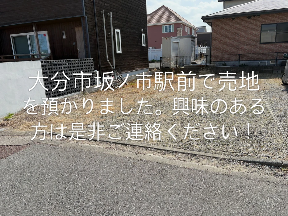 画像241