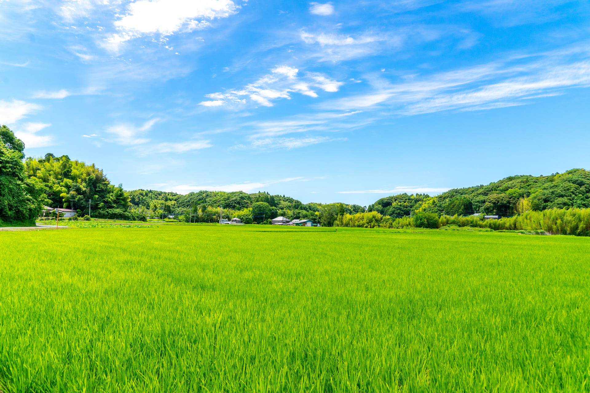 農地にも対応 | 大分県大分市の不動産売却なら株式会社ムーンエステート